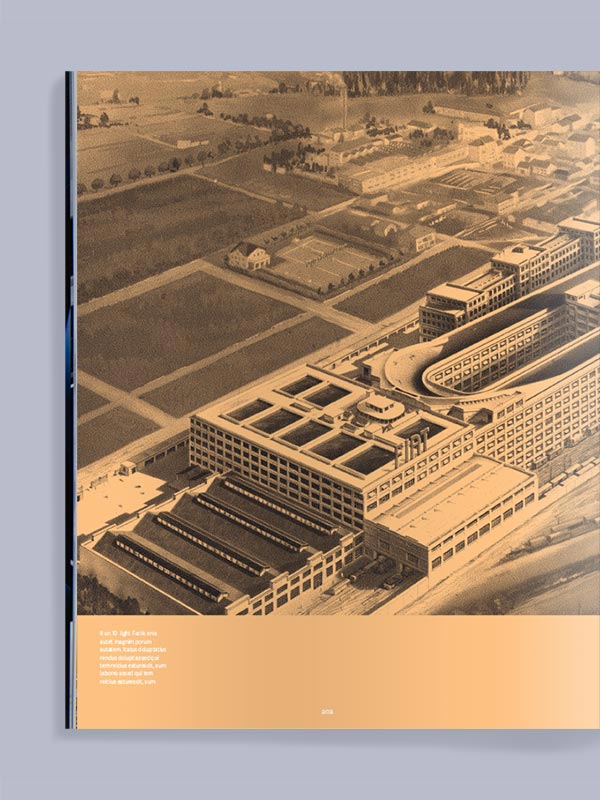 EDITION No.13