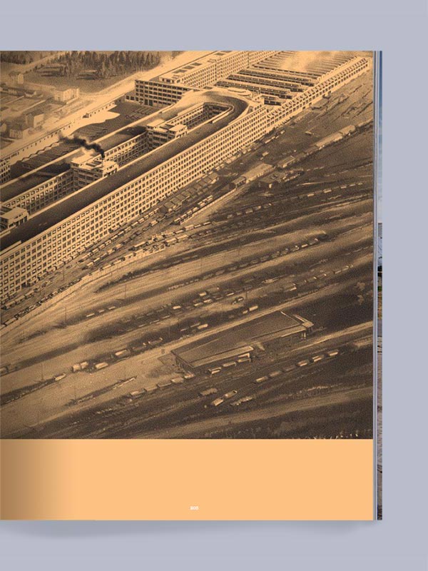 EDITION No.13