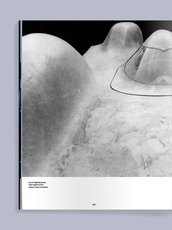 EDITION No.13