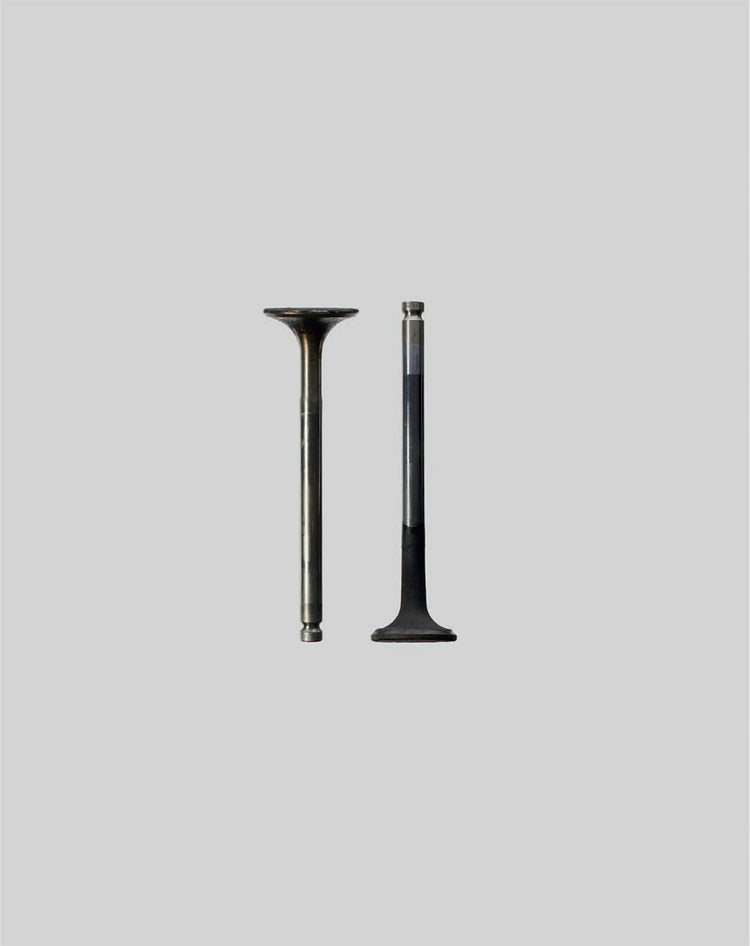 EDITION No.11